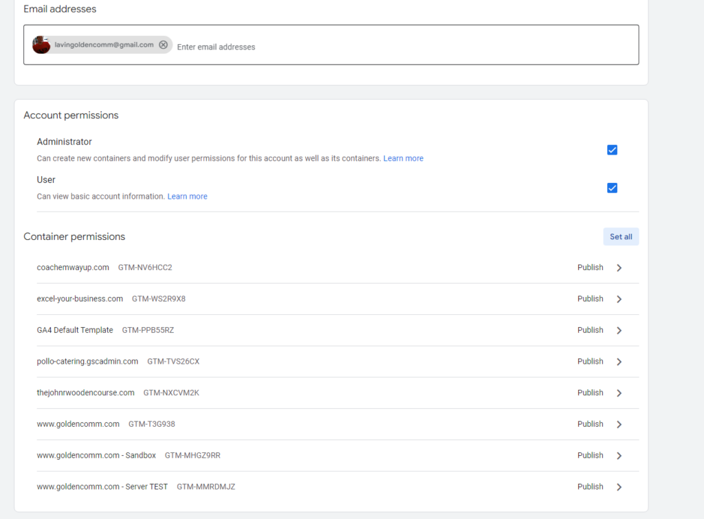 Google Tag Manager Access