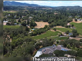 David explains the business of vineyards and real estate.