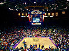 Lakers Ear thumbnail